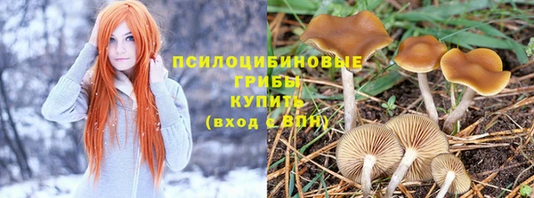мет Козельск